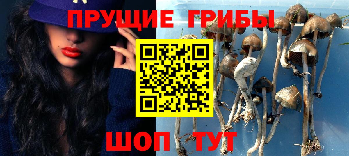 Псилоцибиновые грибы ЛСД Норильск