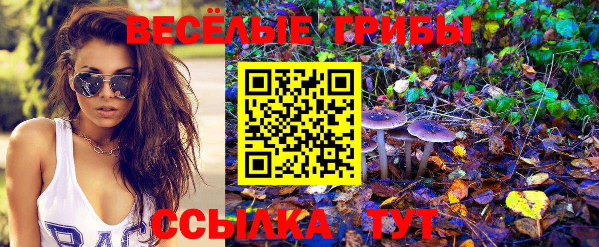Норильск  Галлюциногенные грибы Cubensis  Вход с VPN 